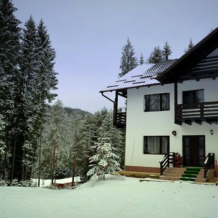 Pensiunea Vatra Bucovinei Vatra Moldovitei Bagian luar foto