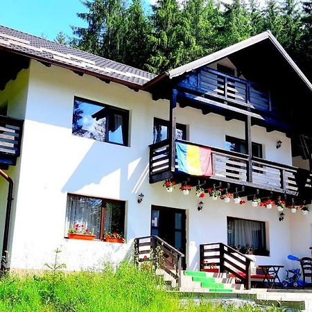 Pensiunea Vatra Bucovinei Vatra Moldovitei Bagian luar foto