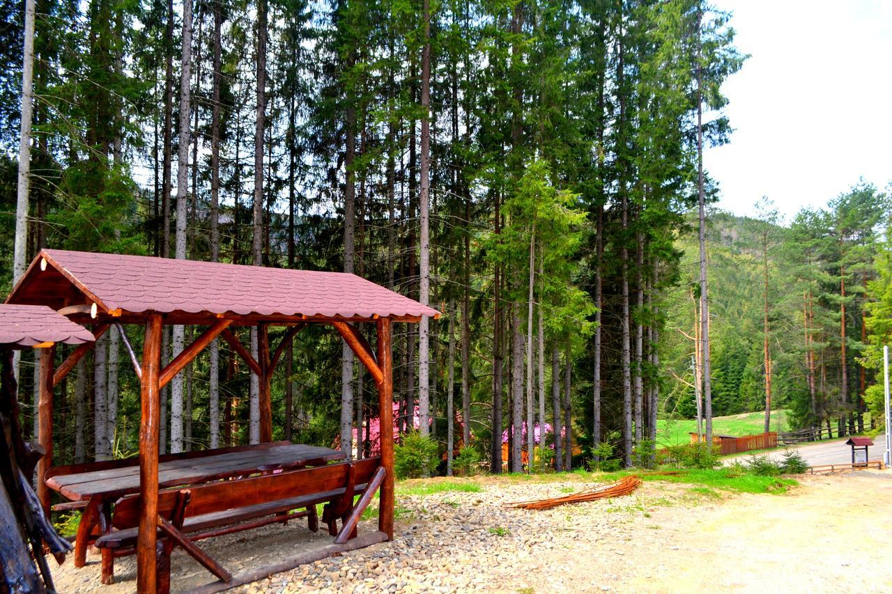 Pensiunea Vatra Bucovinei Vatra Moldovitei Bagian luar foto