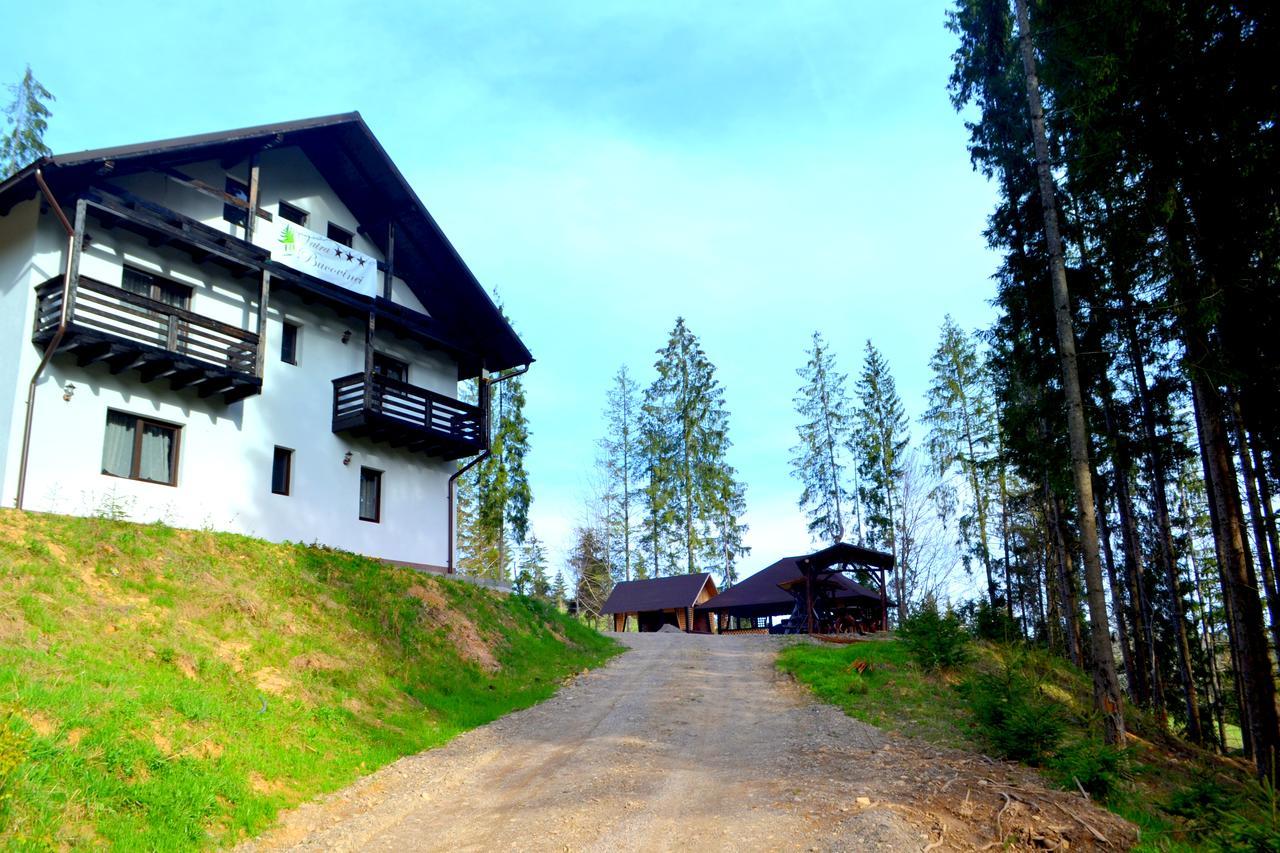 Pensiunea Vatra Bucovinei Vatra Moldovitei Bagian luar foto