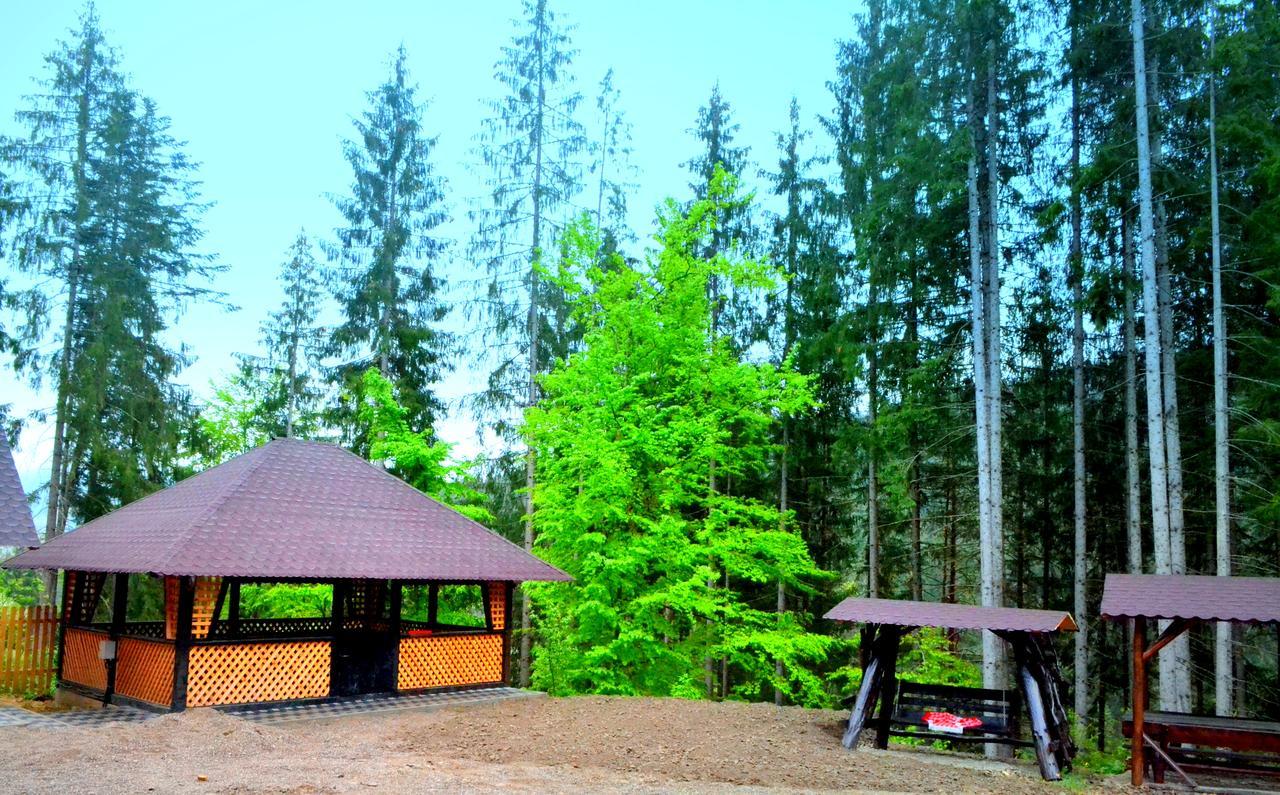 Pensiunea Vatra Bucovinei Vatra Moldovitei Bagian luar foto