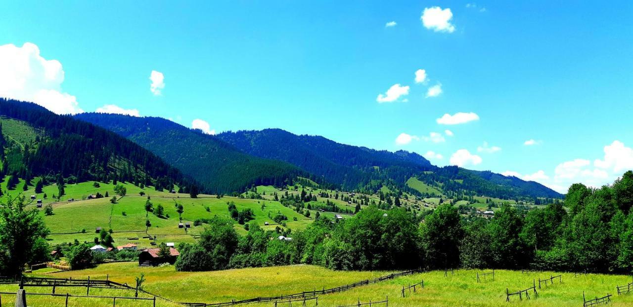 Pensiunea Vatra Bucovinei Vatra Moldovitei Bagian luar foto